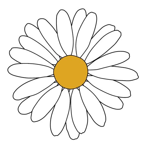 Daisy Drawing stock photos are available in a variety of sizes and formats to fit your. . Cute daisy drawing